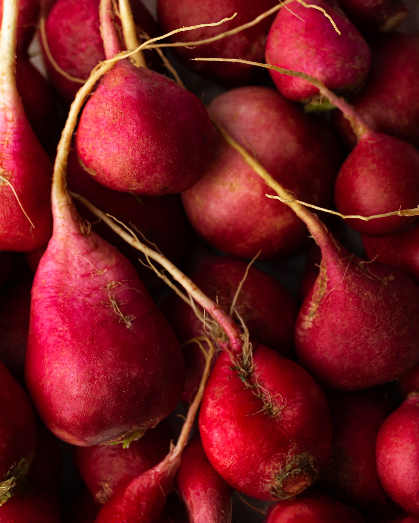 clean, vegan, cruelty free, natural skin care products