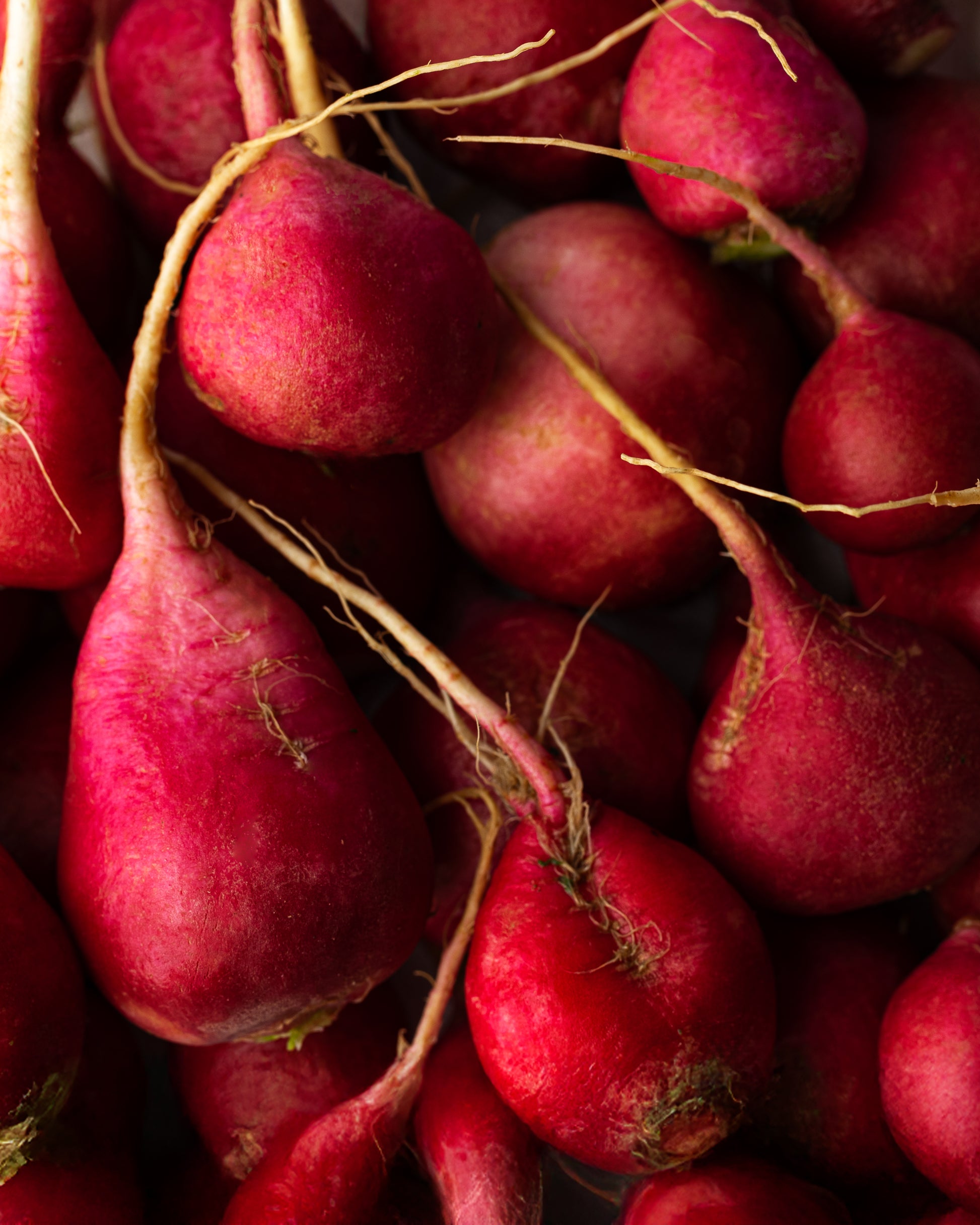 clean, vegan, cruelty free, natural skin care products